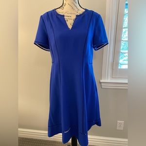 Banana Republic Royal Blue Flair Dress - 10